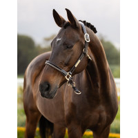 Licol LeMieux Rope Control Noir