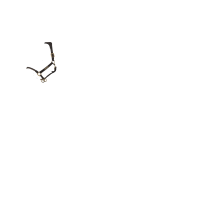 Licol LeMieux Rope Control Noir