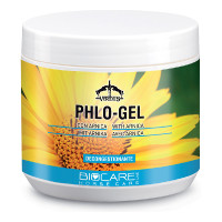 Gel arnica Veredus Phlo Gel