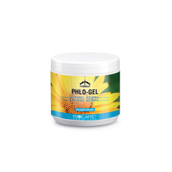 Gel arnica Veredus Phlo Gel