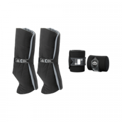 Sous-bandes et bandes repos Veredus Anatomique postérieurs