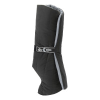 Sous-bandes Veredus Anatomique antérieurs Noir