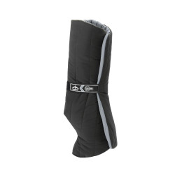 Sous-bandes Veredus Anatomique antérieurs Noir