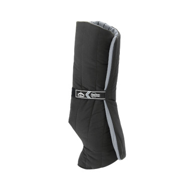 Sous-bandes Veredus Anatomique antérieurs Noir