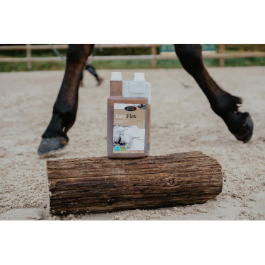 Easy Flex Horse Master