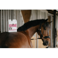 EquiDiur Horse Master