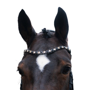 Bridon HKM Mila anatomiques