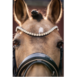 Trenshoofdstel Lauria Garrelli Limone Elegant Zwart / beige