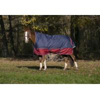 Equithème Tyrex 1200 D High Neck deken Marine / bordeaux Blauw Equithème Tyrex 1200 D High Neck deken Marine / bordeaux Blauw
