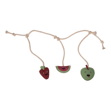 HKM Fruit paardenspeelgoed Tandbederf