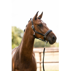 HKM Glamour leren halster Zwart / zilverkleurig