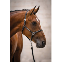 Lederen halster HKM Sparkle Zwart