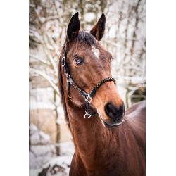 Licol HKM Neon Flash Noir