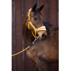 Licol Lauria Garrelli Arezzo Moutarde Jaune