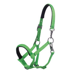 Licol poulain HKM Millie Vert néon