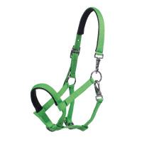 Veulenhalster HKM Millie Neon groen