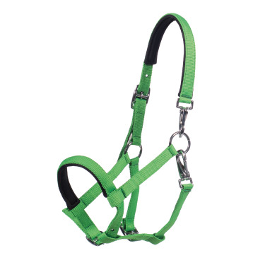 Veulenhalster HKM Millie Neon groen Veulenhalster HKM Millie Neon groen