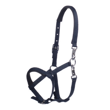 Licol poulain HKM Millie Bleu profond