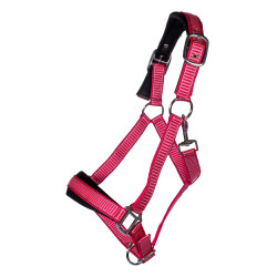 Set de licol HKM Lilly mousqueton et franges détachable Rose