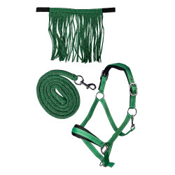 Set de licol HKM Lilly mousqueton et franges détachable Vert