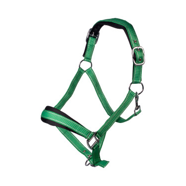 Set de licol HKM Lilly mousqueton et franges détachable Vert