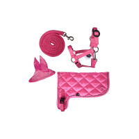 Neonset HKM Hobby Horse Roze