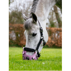 LeMieux Noma graaskorven Kaasjeskruid Violet