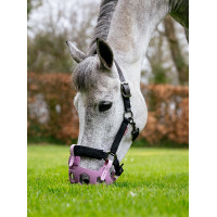 Paniers de pâturage LeMieux Noma