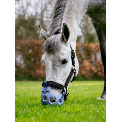 LeMieux Noma graaskorven Poederblauw