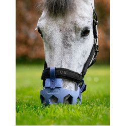 LeMieux Noma graaskorven Poederblauw