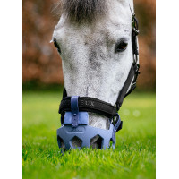 Panier de pâturage LeMieux Noma Powder blue Bleu