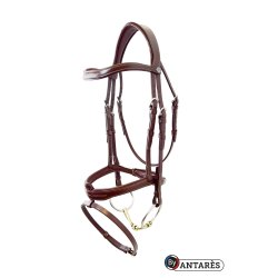 Bridon Signature by Antares muserolle combinée signature Marron