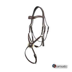 Bridon Signature by Antares muserolle combinée Marron