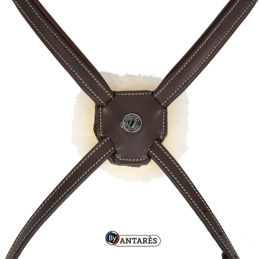 Bridon Signature by Antares muserolle combinée Marron