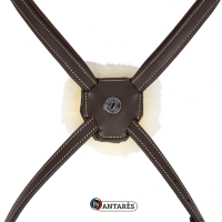 Signature-hoofdstel by Antares gecombineerde neusriem