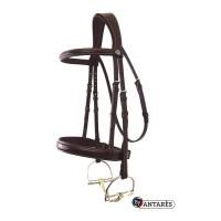 Bridon Signature by Antares Hunter