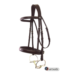 Bridon Signature by Antares Hunter Marron Bridon Signature by Antares Hunter Marron