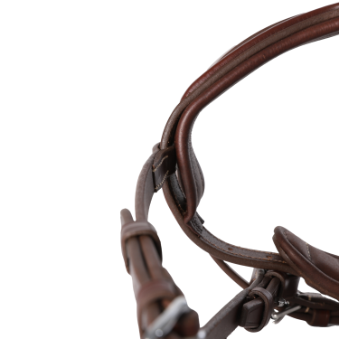 Bridon Signature sport by Antares muserolle combinée Marron