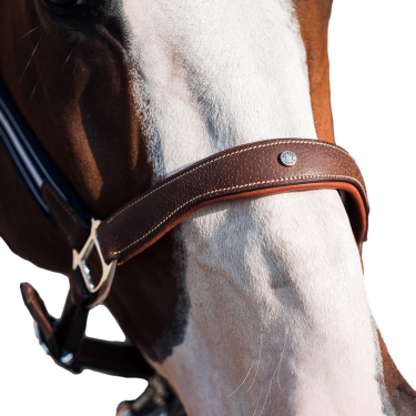 Antares stressless halster met nerfpatroon Mout