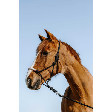 Ethologisch halster Westride Western Zwart