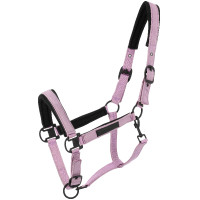 Licol Equithème Pearl Lavande Violet Licol Equithème Pearl Lavande Violet
