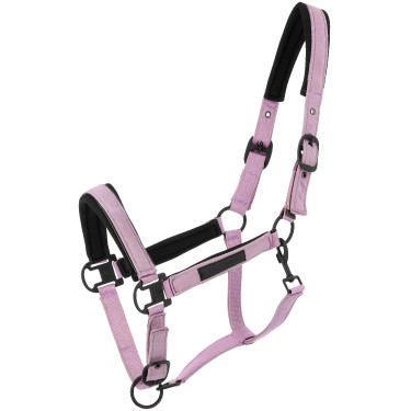 Licol Equithème Pearl Lavande Violet