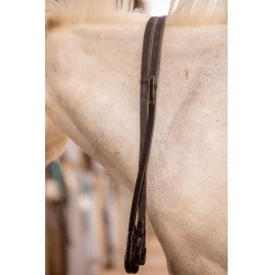 Teugels Eden Pénélope