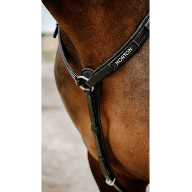 Collier de chasse Endurance Norton Pop