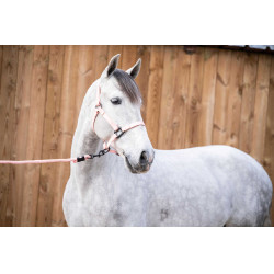 Aanbindlijn Lami-Cell Midnight