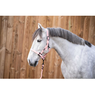 Longe d'attache Lami-Cell Midnight Vieux rose