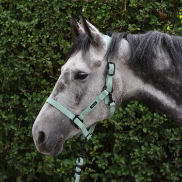 Aanbindlijn Lami-Cell Midnight