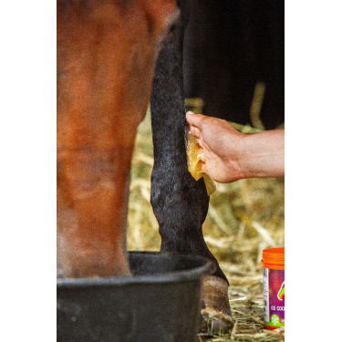Gel réfrigérant Equinatura Gel réfrigérant Equinatura