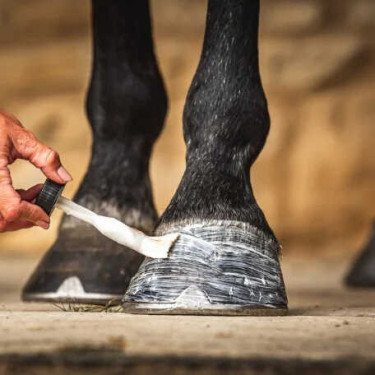 Huile pour sabots Carr & Day & Martin Daily Hoof Moisturiser Cornucrescine Huile pour sabots Carr & Day & Martin Daily Hoof Moisturiser Cornucrescine