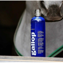 Gallop® Shampoo Carr & Day & Martin Grijs